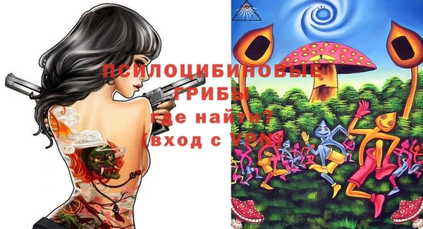 гидра Алзамай
